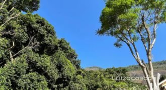 Alto da Boa Vista – AV1507